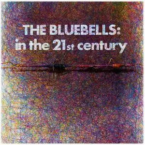 The Bluebells - In the 21st Century (2023)