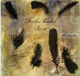 Feather brushes #1 for Photoshop