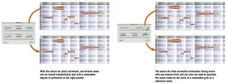 Celemony Melodyne v3.0.1.9 Studio Edition