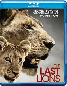 The Last Lions (2011) [LIMITED]