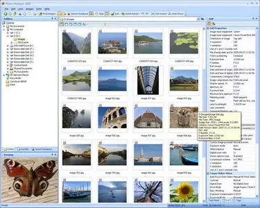 Photo Manager 2010 Professional 2.0.0R4 (+RUS)