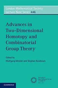 Advances in Two-Dimensional Homotopy and Combinatorial Group Theory (London Mathematical Society Lecture Note Series)