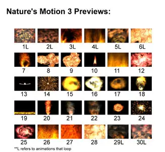 ActionBacks - Natures Motion 3
