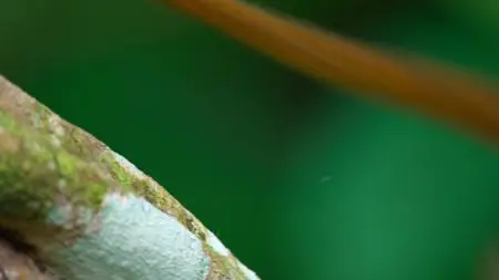 Tiny World S01E02