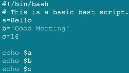 Learning Bash Scripting