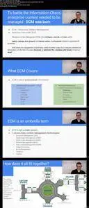 Alfresco - Introduction to the Company and its Products