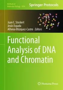 Functional Analysis of DNA and Chromatin (Methods in Molecular Biology)
