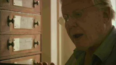 BBC - Charles Darwin and the Tree of Life (2009)