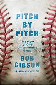 Pitch by Pitch: My View of One Unforgettable Game