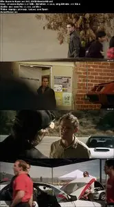 Born to Race (2011)