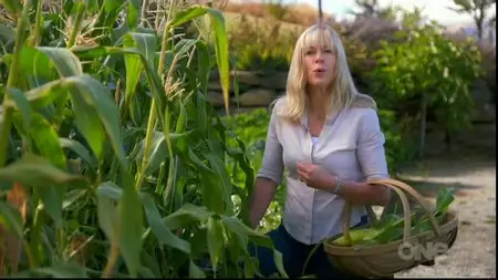 The Free Range Cook - Through The Seasons - s03e10 (22 November 2014)