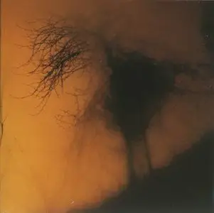 Michael Stearns - The Light in the Trees [EP] (1996)