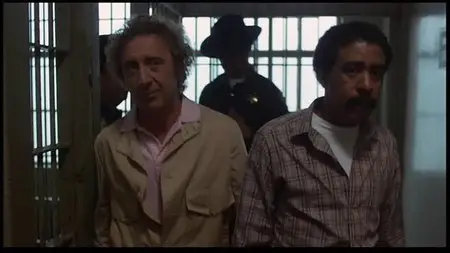 Stir Crazy (1980)