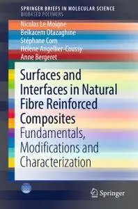 Surfaces and Interfaces in Natural Fibre Reinforced Composites: Fundamentals, Modifications and Characterization