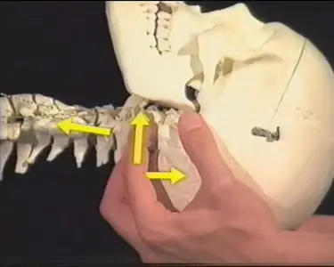 Frank Schröter - Die craniale Osteopathie: Teil 3