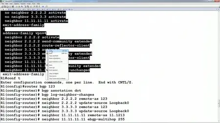 INE - CCIE Service Provider v4 Advanced Technologies