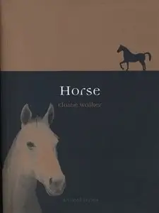 Horse (Animal)