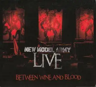New Model Army – Between Wine And Blood Live (2015) [DVD5]