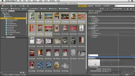 Photoshop CC Essential Training