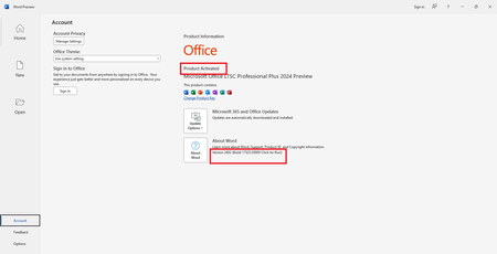 Microsoft Office 2024 Version 2402 Build 17325.20000 Preview LTSC AIO (x86/x64) Multilingual