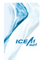 ICEM Surf v4.8.1