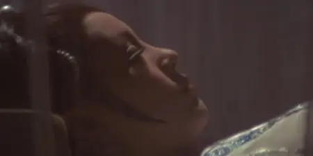 Intimate Confessions of a Chinese Courtesan (1972)