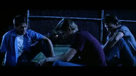 The Outsiders (1983)