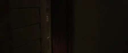 The Conjuring (2013)