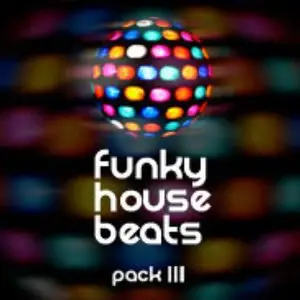 Loopmasters Funky House Beats Vol 3 WAV REX