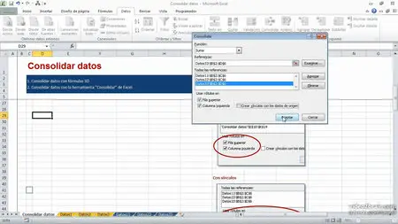 Análisis y gestión de datos con Excel