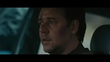 The Next Three Days (2010)