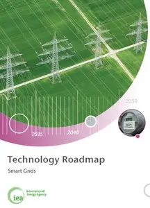 Technology Roadmap: Smart Grids