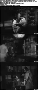 Sisters Of The Gion (1936) Criterion Collection [Reuploaded]