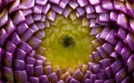 Nature pictures