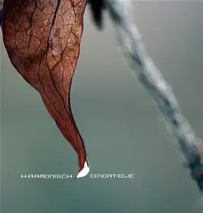 Cinortele - Harmonisch