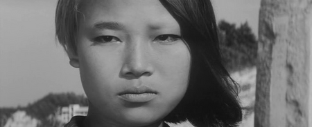 Japanese Summer: Double Suicide (1967)