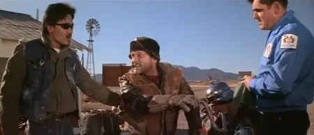Devil's Angels (1967)