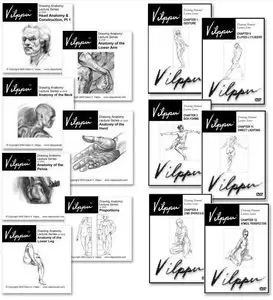 Vilppu Studio - Anatomy, Drawing Manual, Head Anatomy and Construction