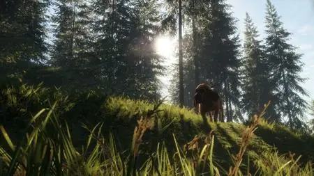 theHunter Call of the Wild Bloodhound (2021)