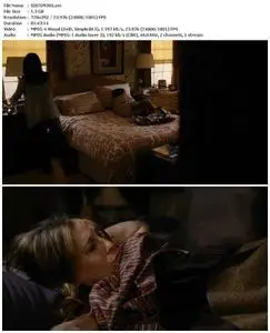 The Family Stone (2005)