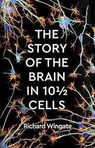 The Story of the Brain in 10½ Cells