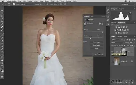 Lynda - Mastering Selections in Photoshop CC [repost]