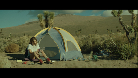 Wild (2014)