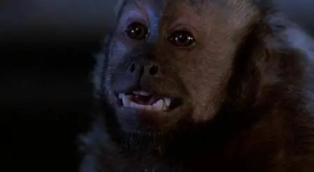 Monkey Shines (1988)