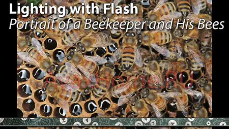 Lighting with Flash: Portrait of a Beekeeper and His Bees