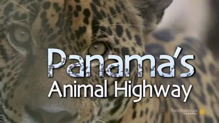 Smithsonian Channel - Panama's Animal Highway (2017)