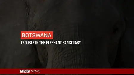 BBC - Botswana: Trouble in the Elephant Sanctuary (2019)