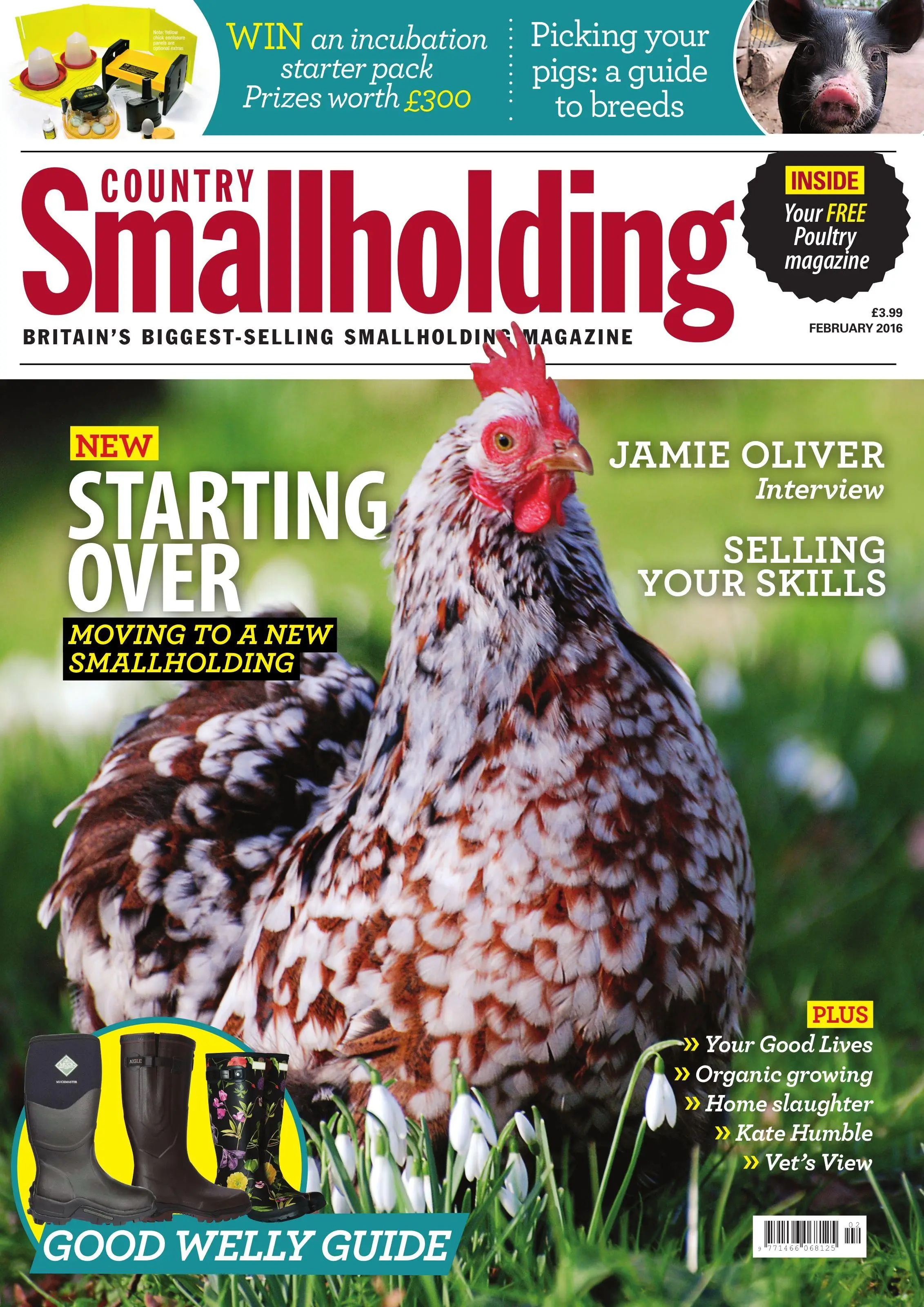 Country Smallholding – February 2016