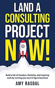 Land a Consulting Project NOW!: Build a life of freedom, flexibility, and inspiring work running your own 6-figure business