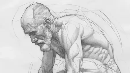 Figure Drawing For Beginners